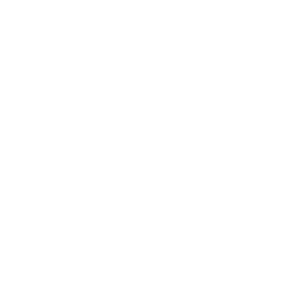 MG PRO BAT Logo